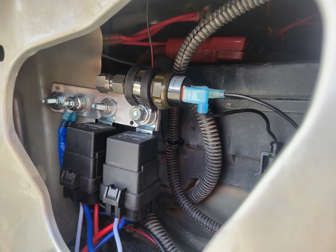 20230909_164942 (960x1280).jpg