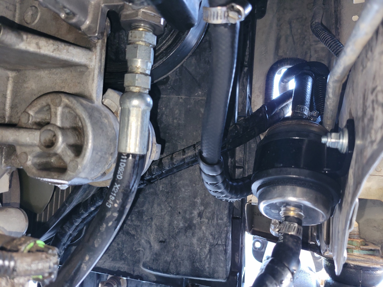 20230913_181603 (1280x960).jpg