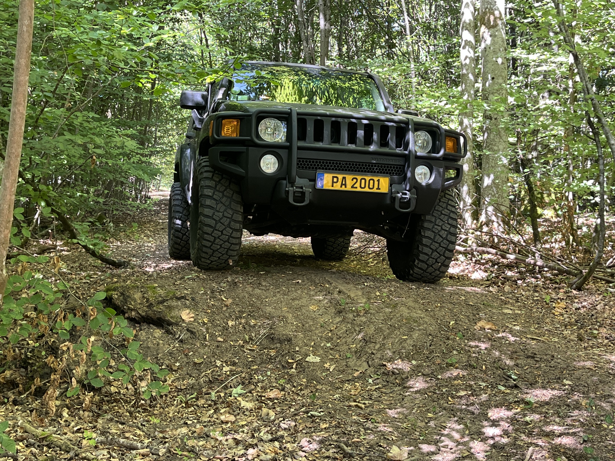 IMG_4775.JPG