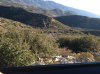IMG_1259.jpg